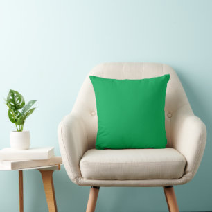 Solid Green Background Cushion