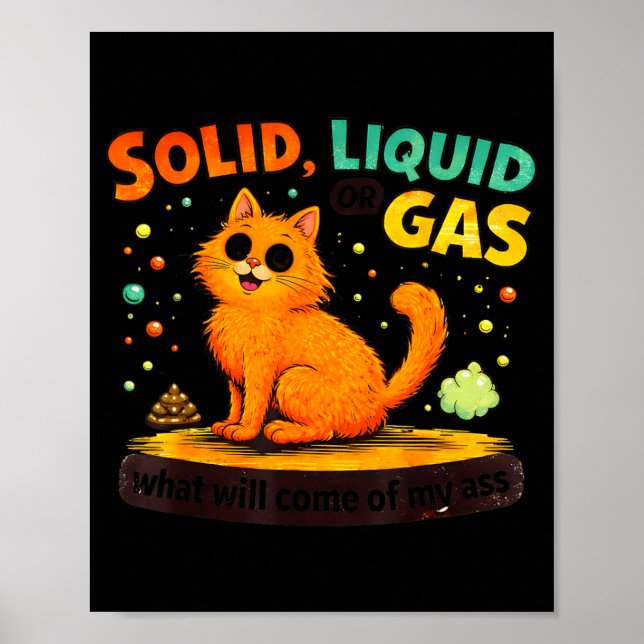 Solid Liquid Or Gas Funny Cat Physics Science Poster (Front)