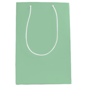 Solid Mint Green Medium Gift Bag