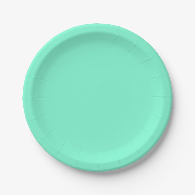Solid, mint, green paper plate (Front)