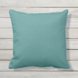 Solid Peacock Teal Cushion<br><div class="desc">Solid colour pillow Teal. For those that what to DIY: Great custom Template For Throw Pillow. Customised Pillows. Personalise with your own name, pattern, design, quote, monogram, or photograph. Use our cool templates, artwork, photos, graphics, and illustrations, then add names, text, quotes, and monograms to create your own throw pillow....</div>