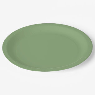Solid Soft Green Paper Plate