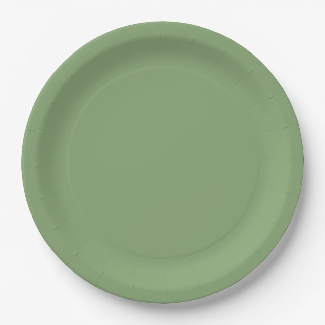 Solid Soft Green Paper Plate (Front)