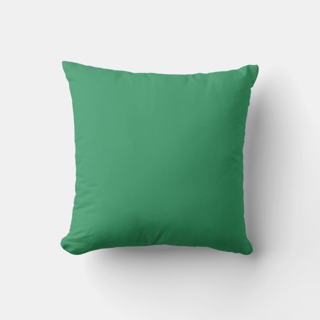 solid soft light green blue pillow (Front)