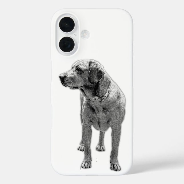 Solid Stance, Everyday Armour Case-Mate iPhone Case (Back)
