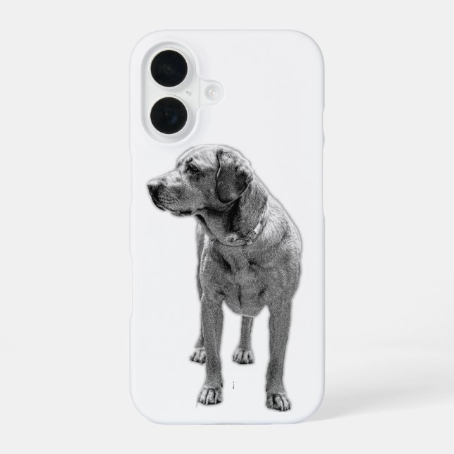 Solid Stance, Everyday Armour iPhone 16 Case (Back)