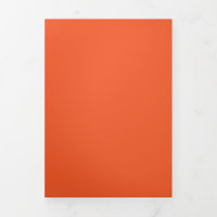 Solid Vibrant Orange Background | Bold Warm Design
