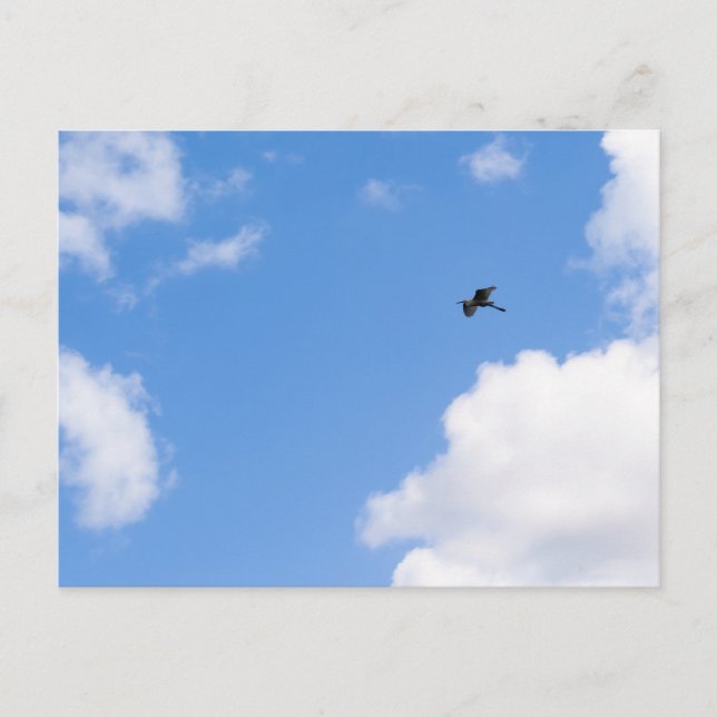 Solitary Bird Soaring Through Bright Blue Sky with Postcard (Front)