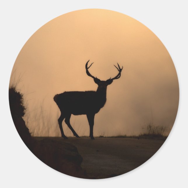 Solitary Red Stag Stickers (Front)