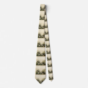 Solitary Sandpiper from Audubon's Birds of America Tie