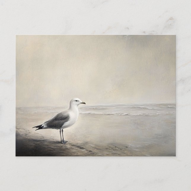 Solitary Seagull by the Shore Postcard (Front)