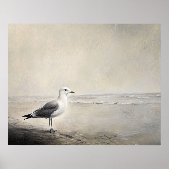 Solitary Seagull by the Shore Poster (Front)