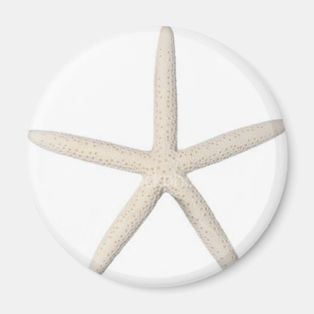 Solitary Starfish Magnet (Front)