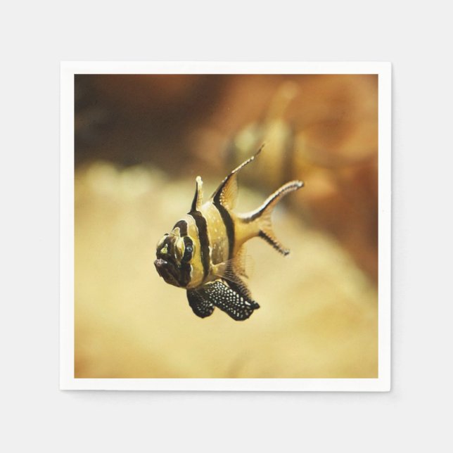 Solitary Stripy Angelfish Napkin (Front)