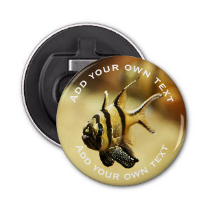 Solitary Stripy Angelfish Underwater Custom Text Bottle Opener