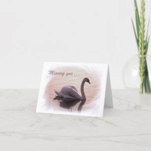 Solitary Swan Card