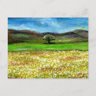 SOLITARY TREE IN THE YELLOW FLOWER FIELD,TUSCANY POSTCARD
