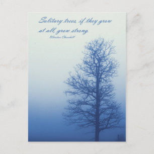 Solitary Trees Grow Strong - Postcard