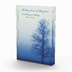 Solitary Trees Grow Strong - Silhouette in Fog Photo Block