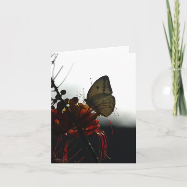 SOLITUDE 5a Card (Front)