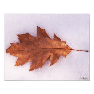 Solitude Photo Print
