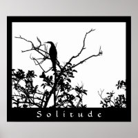 Solitude