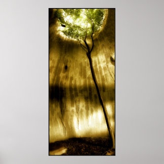 Solitude Poster