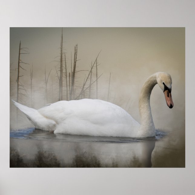 Solitude Poster (Front)