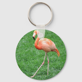 Solo Flamingo Key Ring