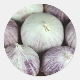Solo Garlic Classic Round Sticker