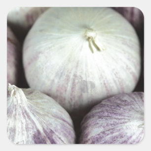 Solo Garlic Square Sticker