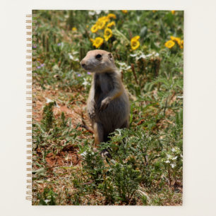 Solo Prairie Dog Planner