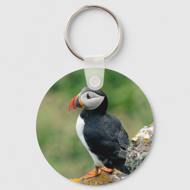 Solo Puffin Key Ring (Front)