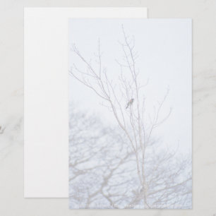 Soloist Stationery