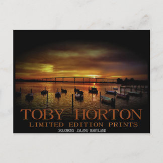 Solomons Island Maryland Postcard