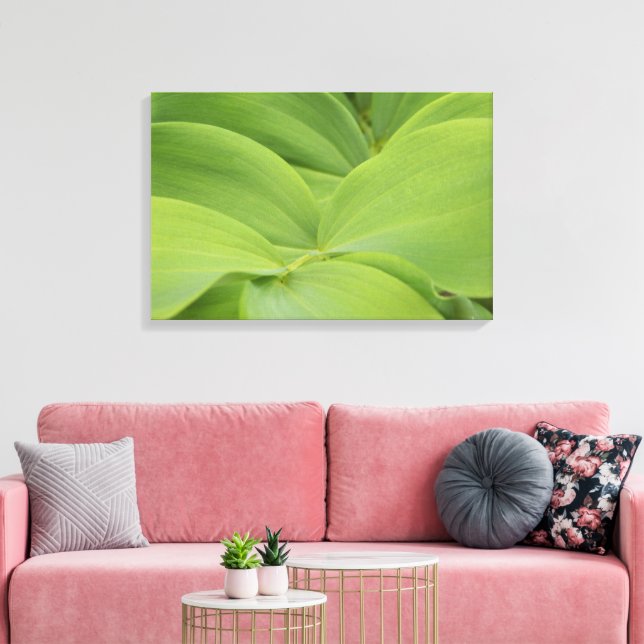 Solomons Seal Canvas Print (Insitu(LivingRoom))