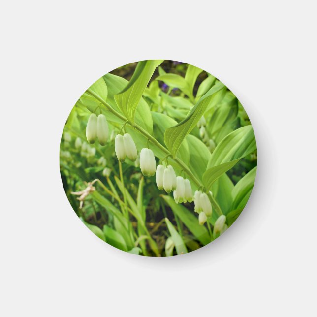 Solomons Seal Magnet (Front)