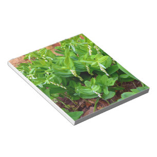 Solomons Seal Notepad