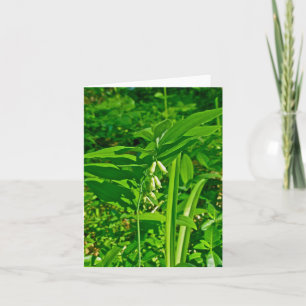 Solomon's Seal Wildflower Note Card
