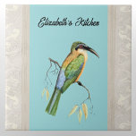 Somali Bee Eater Bird with Name on Aqua Tile<br><div class="desc">This design features the lovely "bee eater" bird (Merops revoilii), with its vivid and colourful feathers and plumage. This jewel-tone bird, as its name implies, captures various insects. This species is generally found only in Ethiopia, Kenya, Saudi Arabia, Somalia and Tanzania. Some people think this bird evolved from the kingfisher....</div>