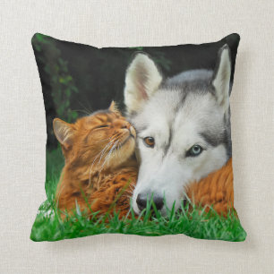 Somali cat and Siberian Husky cute friends huddle Cushion