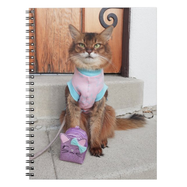Somali Cat Back to School With Tiny Backpack Notebook (Front)