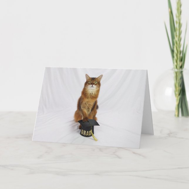 Somali Cat Graduation Cap Greeting for Grads Card (Front)