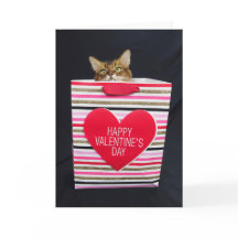 Somali Cat in a Happy Valentine's Day Bag
