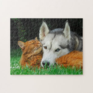 Somali Cat Siberian Husky Cute Friends Huddle Love Jigsaw Puzzle