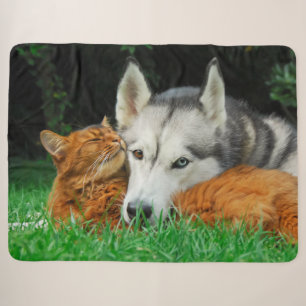 Somali Cat Siberian Husky Cute Friends Huddle Love Sherpa Blanket