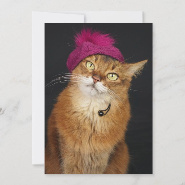 Somali Cat Wearing a Raspberry Beret Holiday Card (Front)