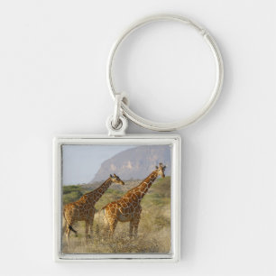 Somali Giraffe, Reticulated Giraffe, Giraffa Key Ring