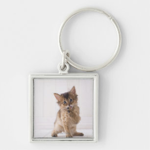 Somali Licking Forefoot Key Ring