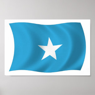 Somalia Flag Poster Print